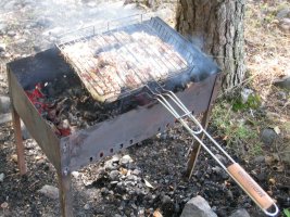 IMG_1119.jpg