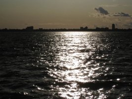 IMG_1177.jpg