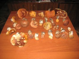IMG_1063.JPG