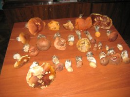 IMG_1065.JPG