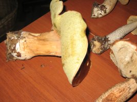 IMG_1067.JPG
