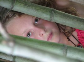 IMG_4168.JPG