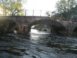 IMG_1452.jpg