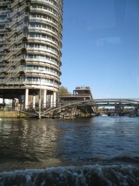 IMG_1455.jpg