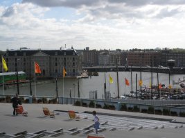 IMG_1505.jpg