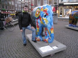 IMG_1550.jpg