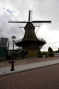 IMG_8165.jpg