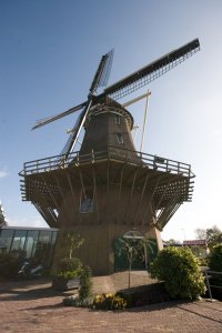 IMG_8186.jpg
