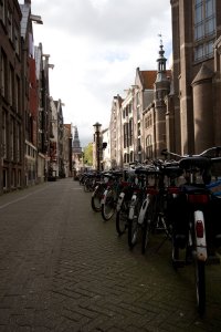 IMG_8619.jpg