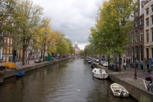 IMG_8641.jpg