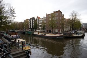IMG_8674.jpg