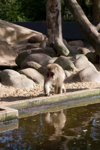 IMG_8194.jpg