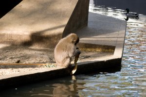 IMG_8227.jpg