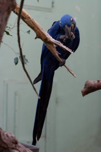IMG_8253.jpg