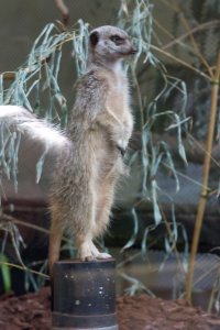 IMG_8278.jpg