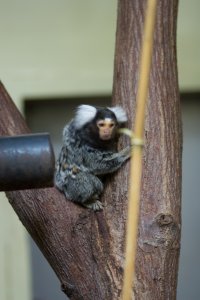 IMG_8294.jpg