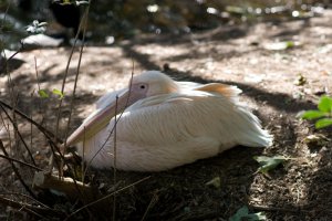 IMG_8327.jpg