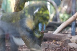 IMG_8341.jpg