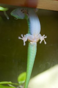 IMG_8361.jpg