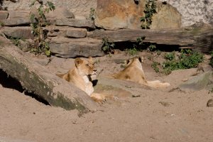 IMG_8372.jpg