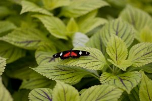 IMG_8435.jpg