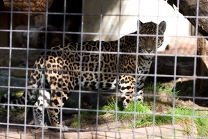 IMG_8389.jpg