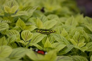 IMG_8434.jpg