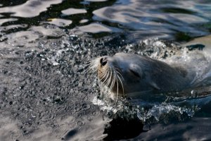 IMG_8464.jpg