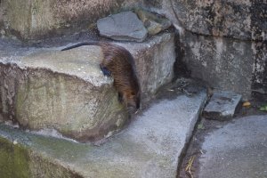 IMG_8473.jpg