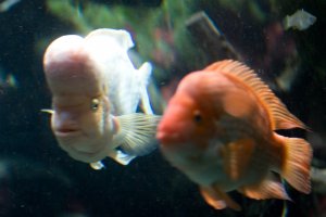 IMG_8496.jpg