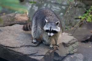 IMG_8526.jpg
