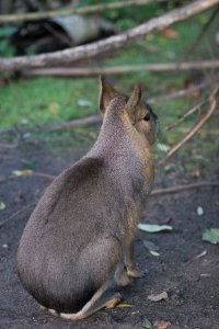 IMG_8529.jpg
