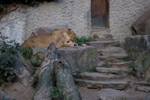 IMG_8544.jpg