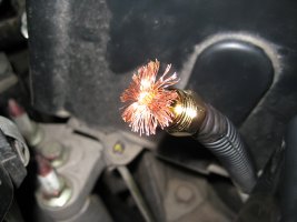 IMG_0939.jpg