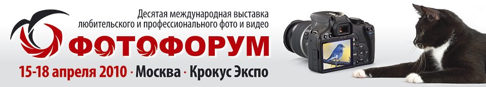 header_FF2010_rus.jpg