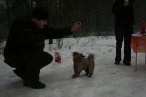 IMG_1138.JPG