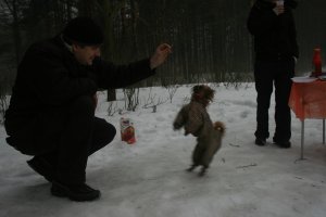 IMG_1139.JPG