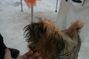IMG_1142.JPG