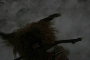 IMG_1143.JPG