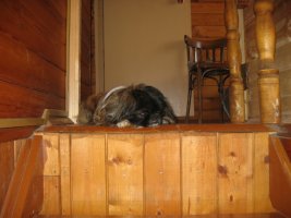 _____2007_024.jpg