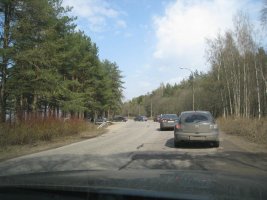 IMG_2125.jpg