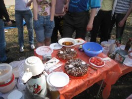 IMG_2168.jpg