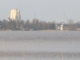 IMG_1220.JPG
