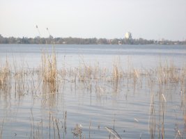 IMG_1233.JPG
