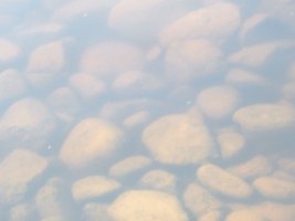IMG_1234.JPG