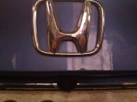 04052010309.jpg