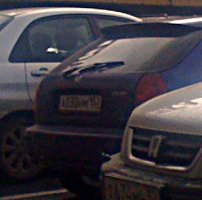 IMG_0037.JPG