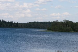 IMG_9177.jpg
