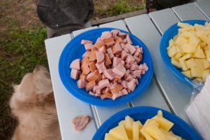 IMG_9262.jpg