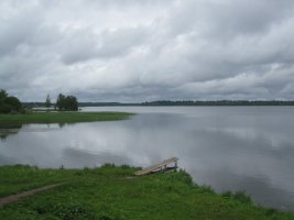 IMG_2305.jpg